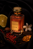 SEDUCTION - Magnetism Unveiled